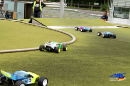 2014 ﻿﻿﻿﻿﻿DM Offroad Monster - Shortcouse